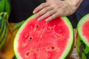 黑料吃瓜网apk普通安装 